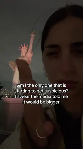 Can somebody explain? There is something they are not telling us #travel #statueofliberty #conspiracy #conspiracytheory #mystery  