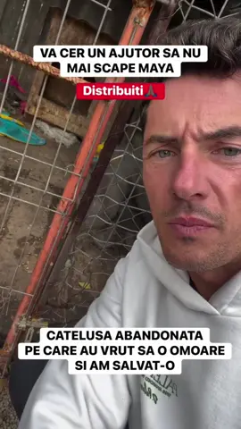 Cățelușa rupe poarta și gardul pentru că nu suportă să stea închisă #caine #gard #catelusamaya #ajutor 