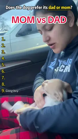 Does your dog prefer dad or mom ? #funnydog #dog #dogsoftiktok #funnyvideos #doglover 