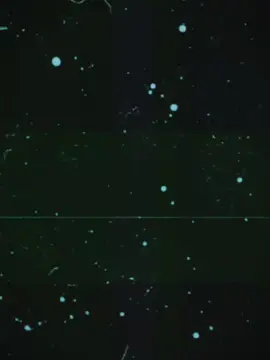 #CapCut  তুমি হইয়া যাওনা আমার জীবনটা তো বেশি বড় না কাটাই দাওনা আমার সাথে #capcut 