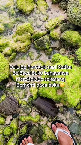 #lewatberandamu #fyppppppppppppppppppppppp #lewatberandafyp #nttpride🏝🔥 #fypdongggggggg 