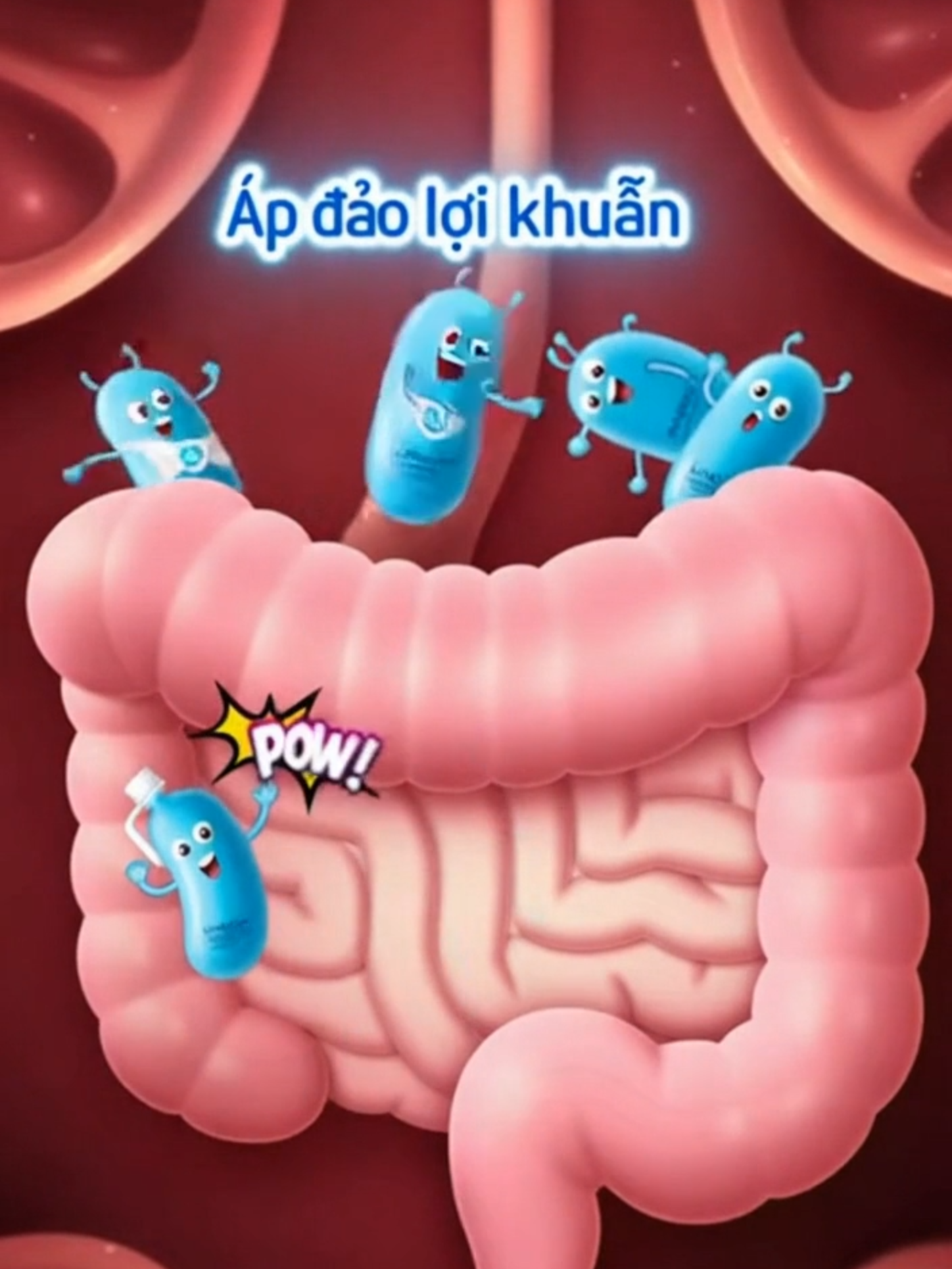 LiveSpo Colon men hỗ trợ tiêu hóa