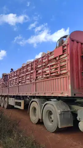 #XNKnongsan #khoailangmat #xnkkhoailang