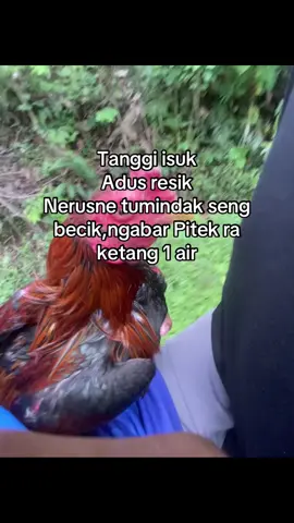 😭😭#botohayam #bkklasik #bkselatan #lewatberandafyp #fyp 