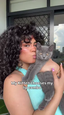 I feel like he is getting so good at these !  #cat #kitten #sydney 