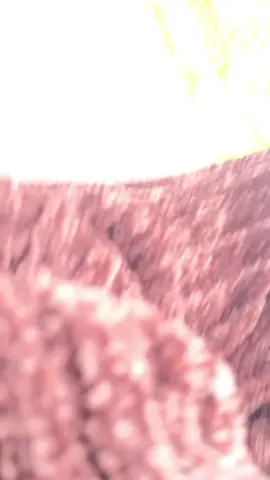 7tahun pacaran malah di gondol boloku dewe☺️