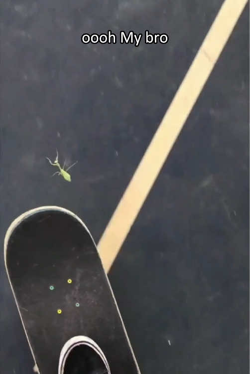 Bug :1 Human :0 😂🦟😂#bug #funnyvideos #fail #funny #foryoupage 