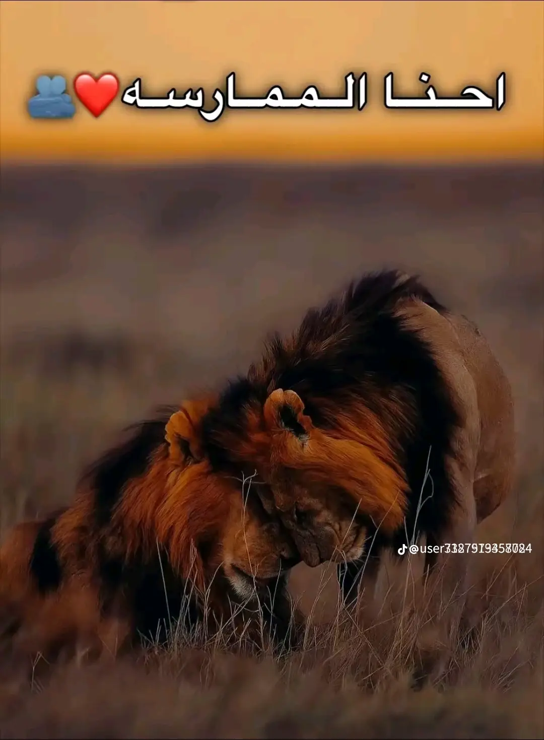 جرجا ☝🏼👑🥇