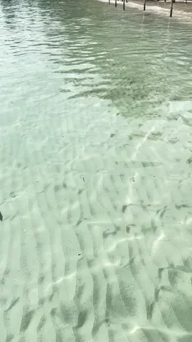 Saking jernihnya ikan pun kelihatan guys 😍😍 #pantaitanjungkelayangbelitung #belitung #belitong 