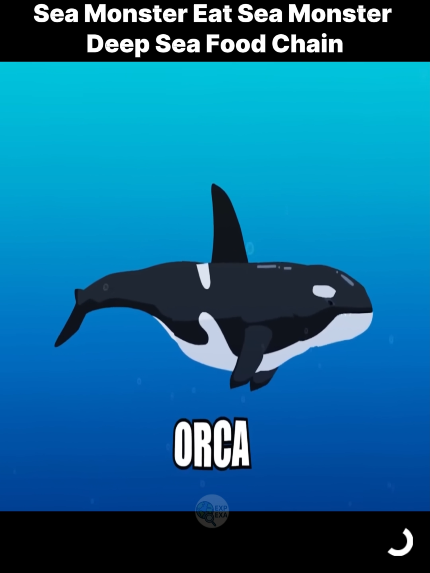 Sea Monster Eat Sea Monster Deep Sea Food Chain #animal #viral #seamonster #evolution #fyp