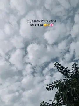 মানুষ সবার প্রথমে কথার প্রেমে পড়ে।😌🫶🌸#অসময় #fypシ゚viral #Foryou #foryoupage #Vairal @TikTok Bangladesh @TikTok @For You 