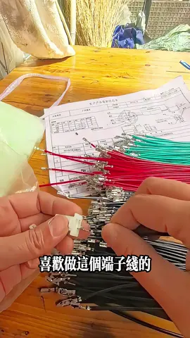 #端子線 #DIY #fyp 