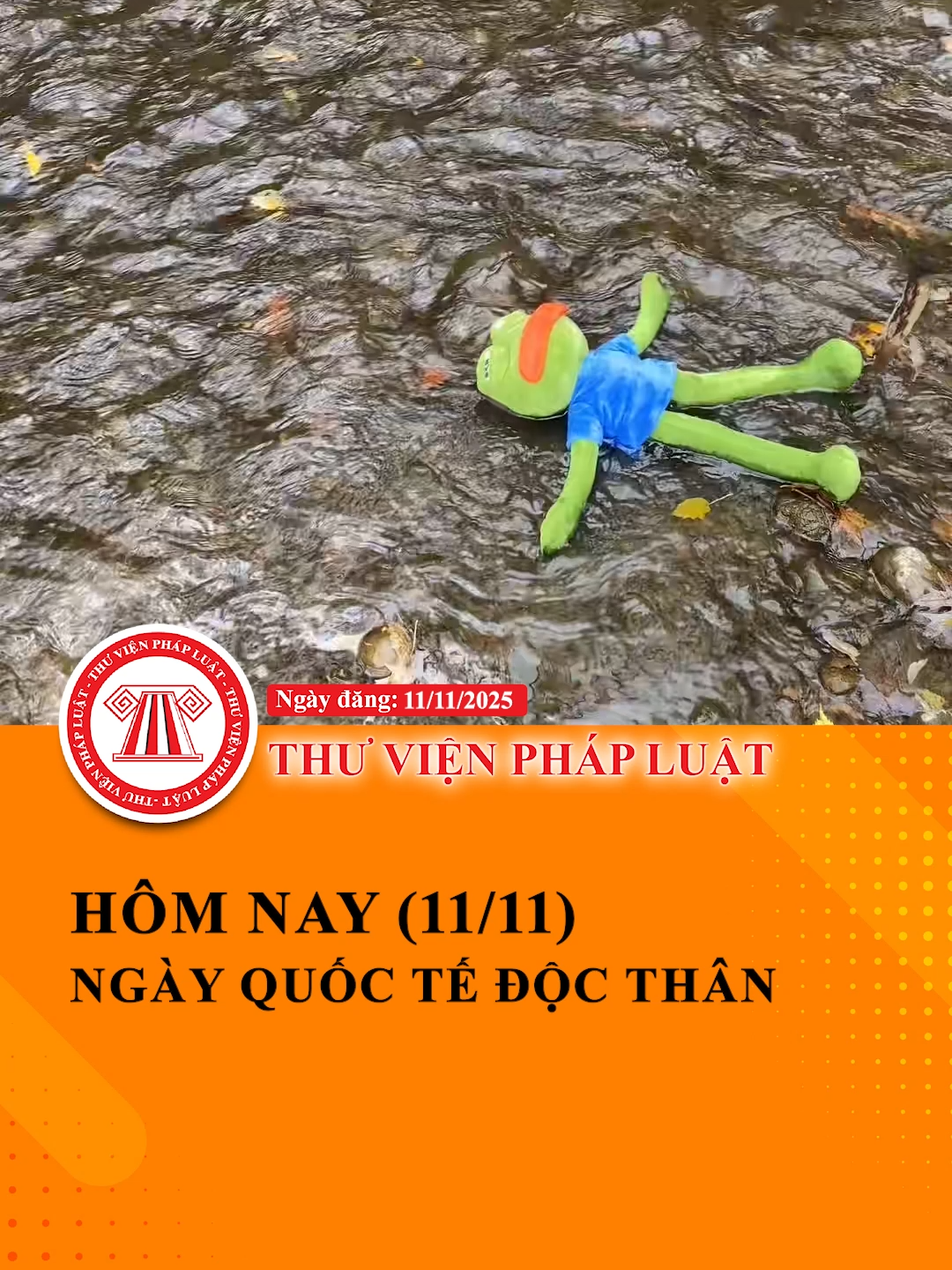 Xin thông báo: Hôm nay là Ngày Quốc tế Độc thân (11/11) #TVPL #LearnOnTikTok #ThuVienPhapLuat #Hoccungtiktok