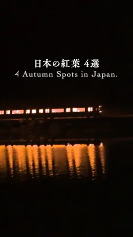 紅葉　#japantravel #日本の風景 #秋 #紅葉 