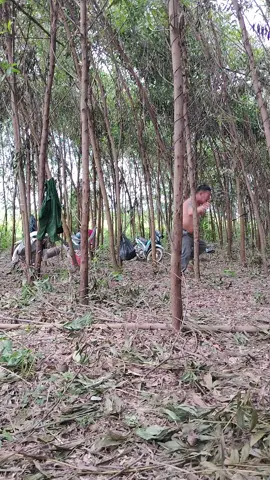 nghĩ trưa cùng không Yên bị 🐝🐝 khoái tấn công...😃😃