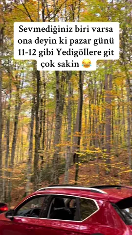 Sessiz sakin bir doğa yürüyüşü hayal ederken denk gelen manzara. #yedigöller #bolu #sonbahar #trafik #pazar 