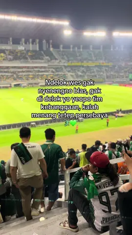 Stay in green🐊💚 #persebayaselamanya #persebaya #persebayasurabaya #bonekmania #bonekbonita 
