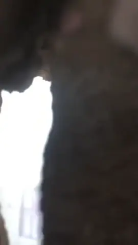 #جهاز_مكافحه_الارهاب_العمليات_الخاصة #الفرقه_الذهبيه #العراق #كركوك #الموصل_كركوك_بغداد_ال_البصره_كربلاء 