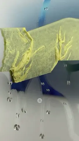 Jochen Mühlenbrink’s (@jochenmuehlenbrink) STILL (Lifes and Dreams) reimagines classical Trompe-l’œil with a conceptual, contemporary twist. Spanning twenty years of the German artist’s work, the show moves from fogged glass illusions and peeled tape to mirrored surfaces that draw the viewer into the frame. With wit and precision, Mühlenbrink turns stillness into a dream state—where the ordinary blurs, and perception slips into play. On view at Long Story Short (@longstoryshort.nyc) through June 15. Interview captured by @joshuabgeyer #art #artist