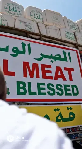 #halal #allah❤️ #allahuakbar #аллахбабаh #аллахбабахещкере 