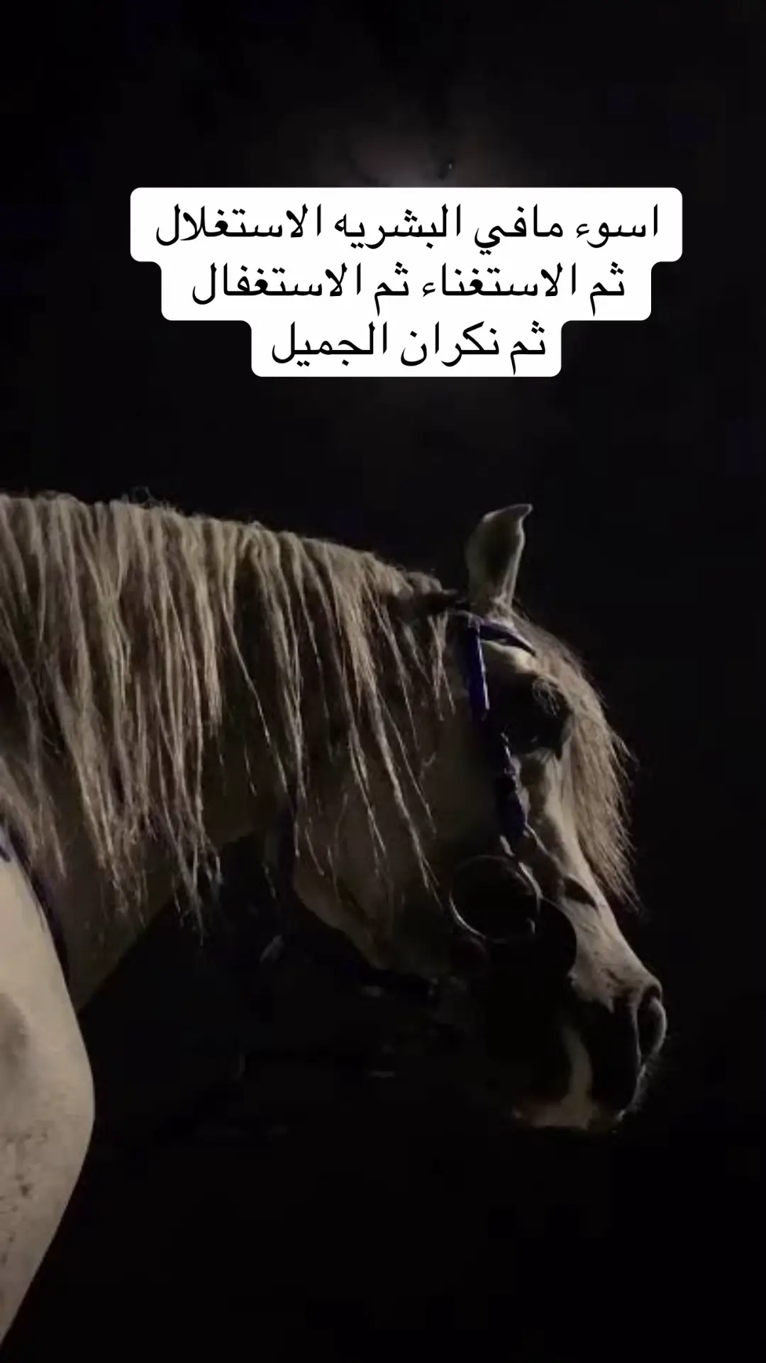 #الصين_ماله_حل😂 #مصر_العراق_السعودية_تونس_المغرب_الجزائر 