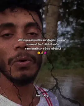 කොල්ලෙක්ව තෙරුම් ඇරන් බලන්න ආදරේ ලස්සනට දැනෙයි😊❤️‍🩹💐#srilankan_tik_tok🇱🇰 #creative #tranding #onemillionaudition #virul_tiktok_video @𝗥𝗔_න්_𝗚𝗜☬ @sadhu🌎🌙 @❤️❤️chethana ❤️☺️❤️ @❤️Punsarani Sanjana❤️ 