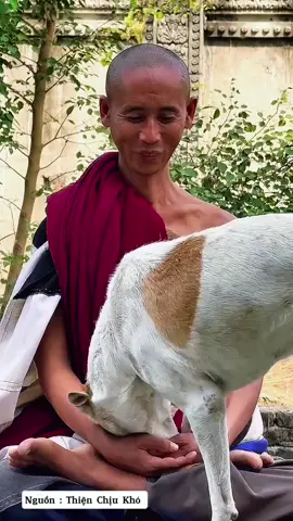 Khoảnh khắc đẹp Thầy Minh Tuệ . #thayminhtuemoinhat #thayminhtue #thichminhtue #minhtue #tinco369 