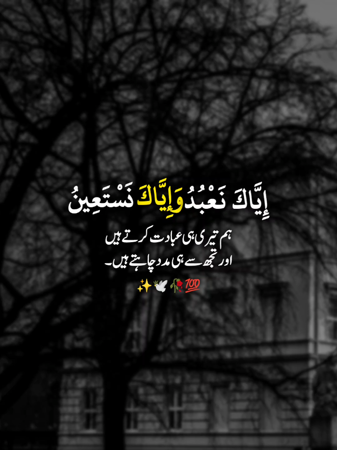 إِيَّاكَ نَعْبُدُ وَإِيَّاكَ نَسْتَعِينُ ہم تیری ہی عبادت کرتے ہیں اور تجھ سے ہی مدد چاہتے ہیں ۔ #unfreezemyacount #foryoupageofficiall #foryoupage #fyp #عِش٘ق 