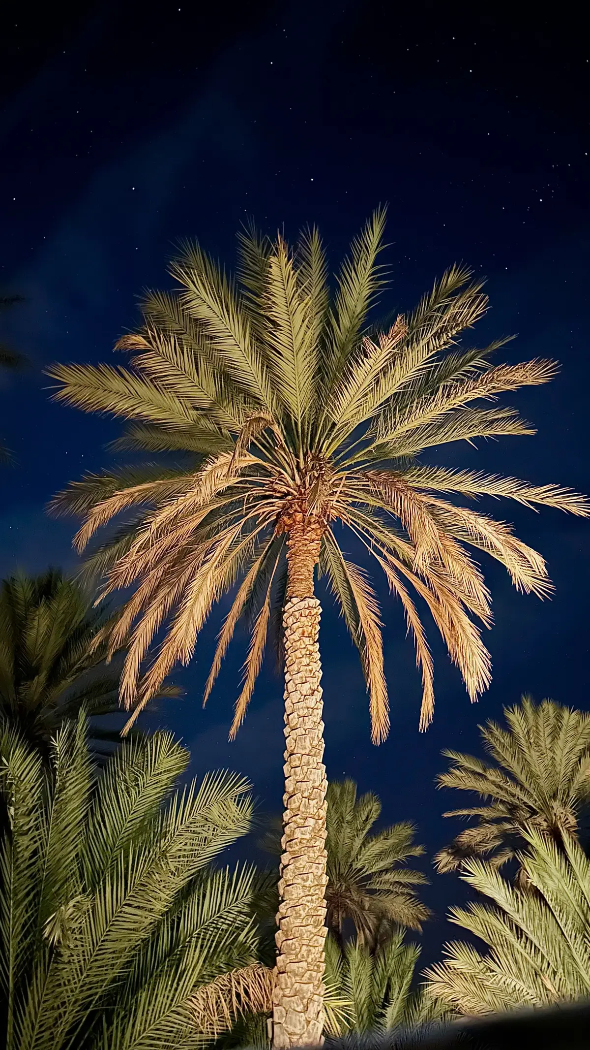 #foryou #explore #fyp #winterishere 