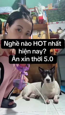 Nghề ăn xin thời 5.0 #doglover #tiktok #pet #thucung #bemuc 