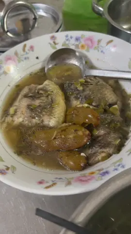 1 ngày bình dị cùng những bé cưng #kinhdimễ #chơimộtmình #hàihướcvuivẻ #choemmăm #choemkhoermanh 