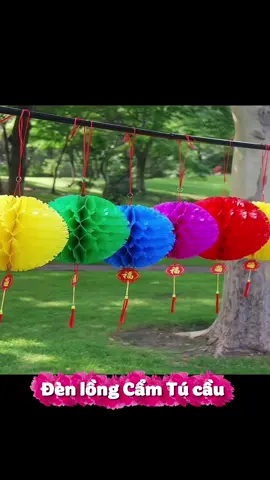 Đèn lồng Cẩm Tú cầu trang trí Tết 🧧  #tet2026 #trangtritet #denlongtet #xuhuong #trangtrinhacua 