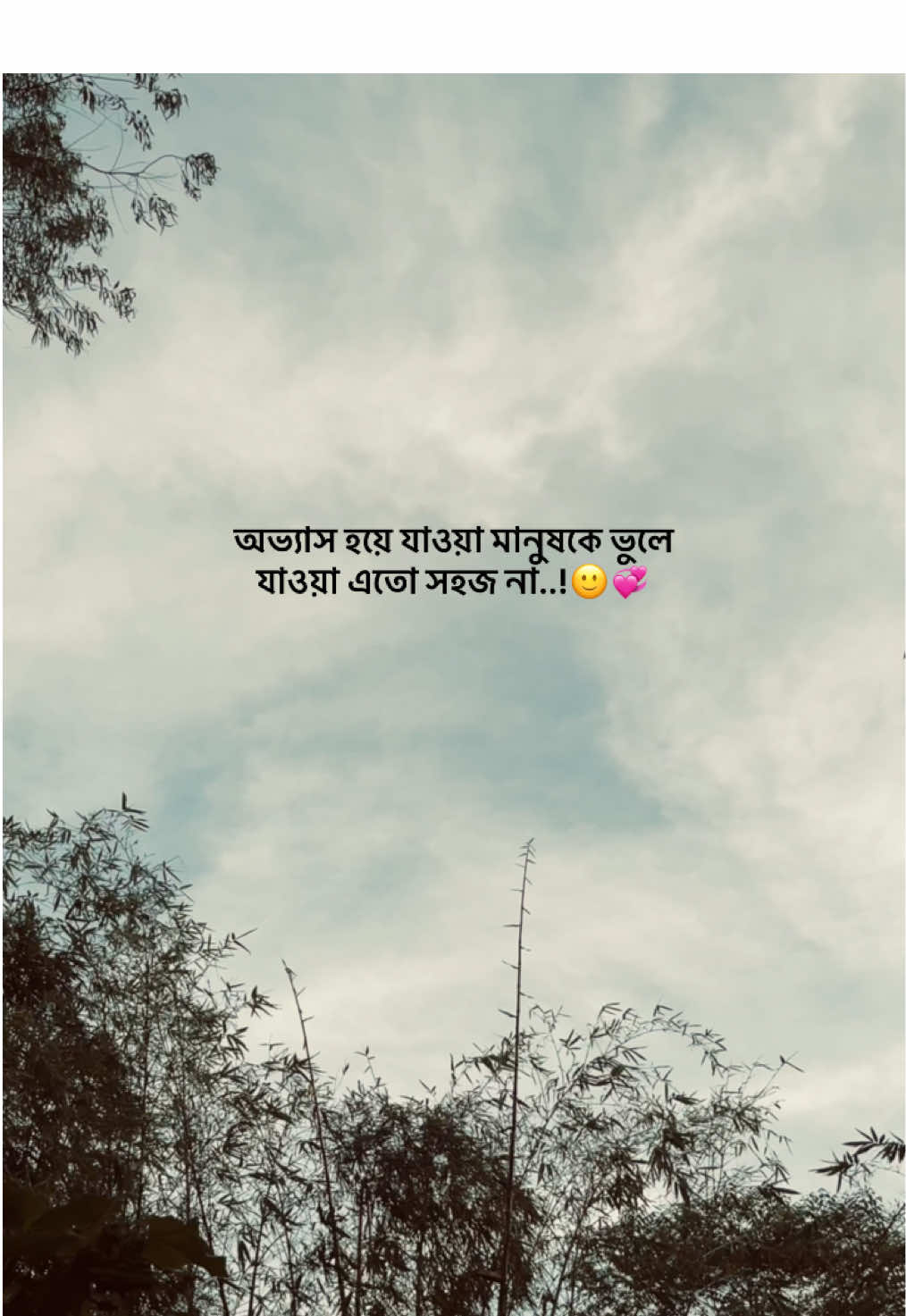 অভ্যাস হয়ে যাওয়া মানুষকে ভুলে যাওয়া এতো সহজ না..!🙂💞#fupシ #foryoupage #tending #bdtiktokofficial #your_jahid_05 @TikTok 