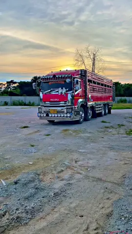 🐂❤️💨✌🏻🍃 #บังภูมิมันร้าย🔥 #หนุ่มเมืองเพชร💎 #สิทธิชัยฟาร์ม❤️ #รถวัวซิ่งเพชรบุรี🐮🚛💨 #fyp 