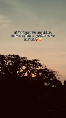 ব্যাথা আসলে আপন মানুষরাই দেয়, নয়তো অপরিচিতরা ধাক্কা লাগলেও ক্ষমা চেয়ে নেয়..❤️‍🩹😅#fyppppppppppppppppppppppp #vairel_video #foryoupage @TikTok Bangladesh 