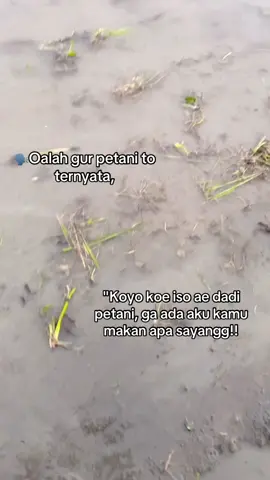 #jowopride #masukberanda #fyppppppppppppppppppppppp #petaniindonesia🇮🇩🇮🇩🇮🇩🌿🌿 