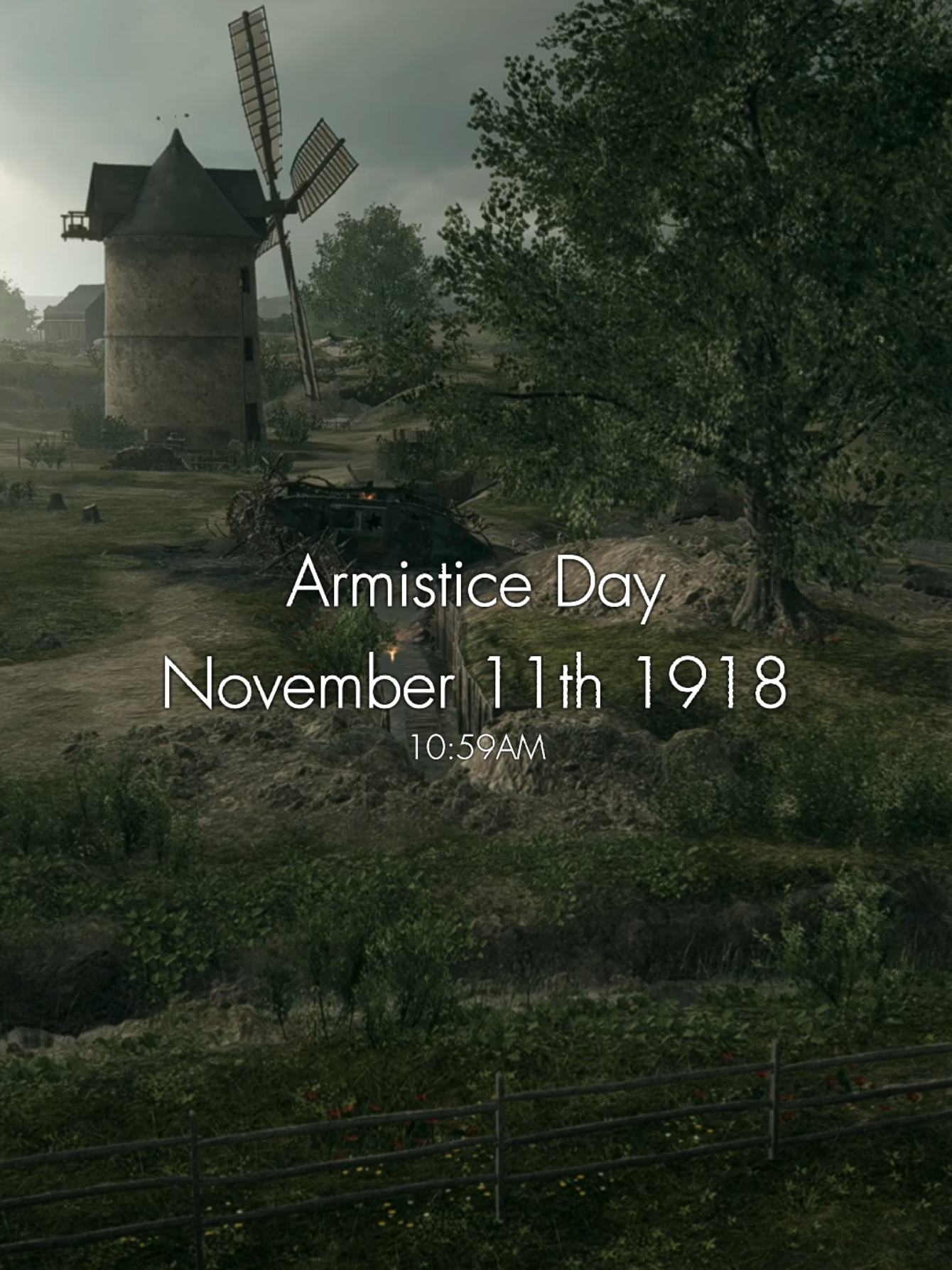 11.11 - Remembrance Day 🌹 Lest We Forget #Battlefield #battlefield1 #bf1 #onlyinbattlefield #remembranceday 