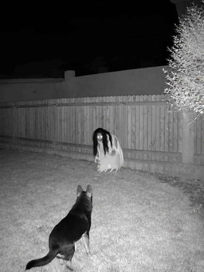 night version horror video dog vz creepy whitch  #fypviral  #RealisticHorror  #DarkAtmosphere  #DogChase  #halloween 