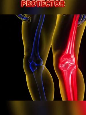 Your Knees Deserve Better — Give Them Mugwort Magic.