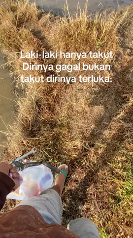 #katakatamotivasi #aisiteru2 #fyppppppppppppppppppppppp #sawah #ilmupadi🌾 