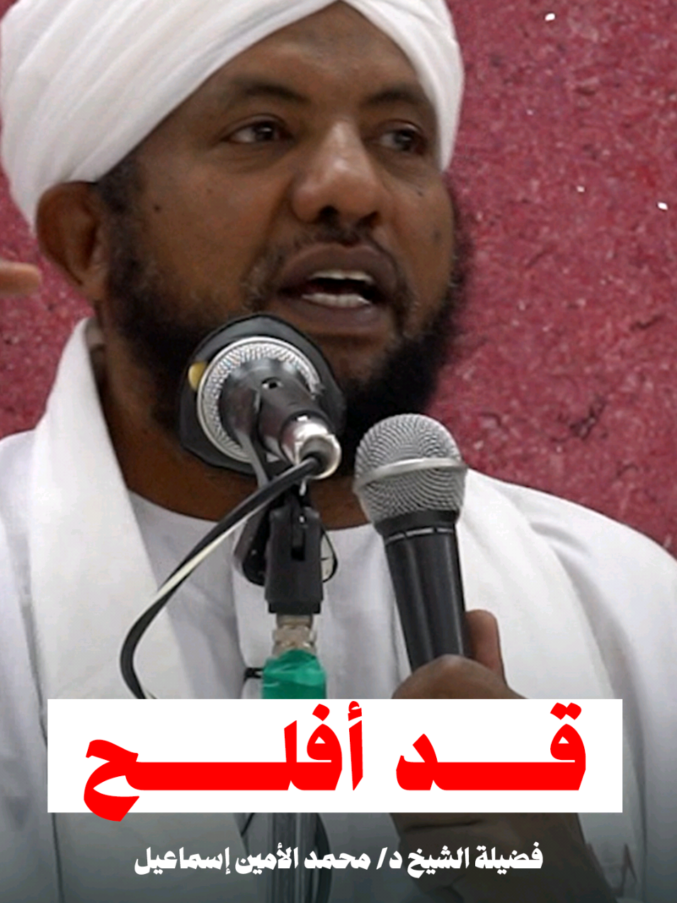 قد أفلح | فضيلة الشيخ د/ محمد الأمين إسماعيل 