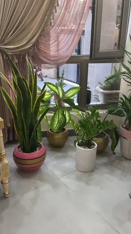 #myhouse #familytime #gathering #bonappetit #عوافي #الله_يديم_النعمة_والنعم_علينا_وعليكم 