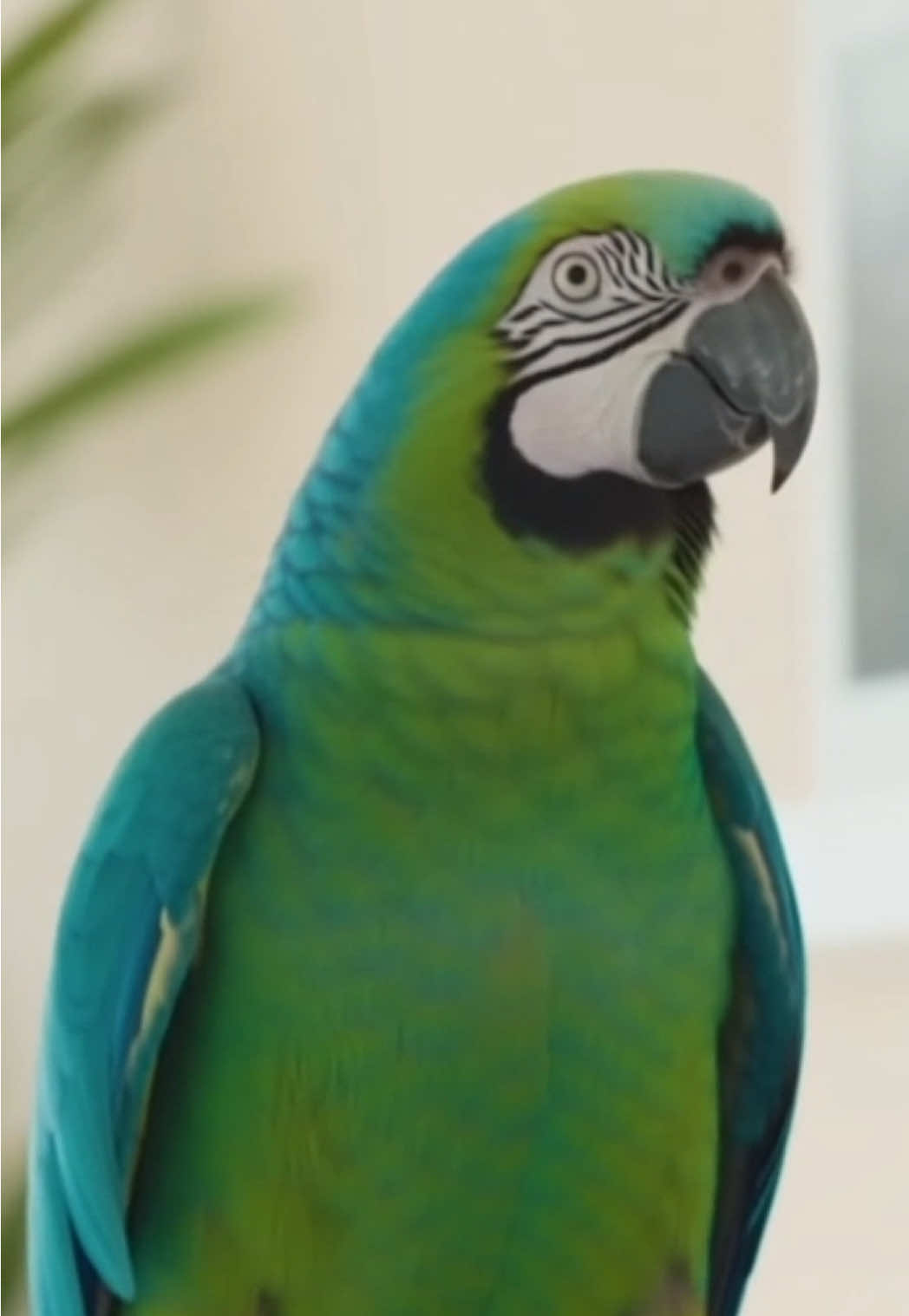 Lustiger Papagei 🦜 #papagei #lustig #polizei #fy #ki 