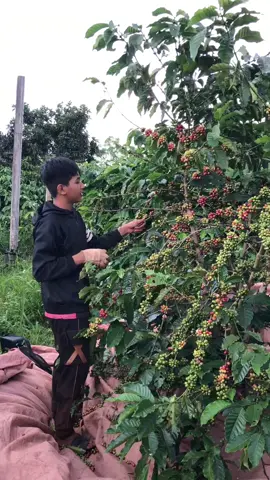 Tuyển vợ cho thk em🤣@🚬🖤 #xuhuonghhhhhhhhhhhhhhhhhhhhhhhhhhh 