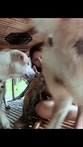 Kyrie Irving | #irving #basketball #NBA #onlyoriginals #theoriginals 