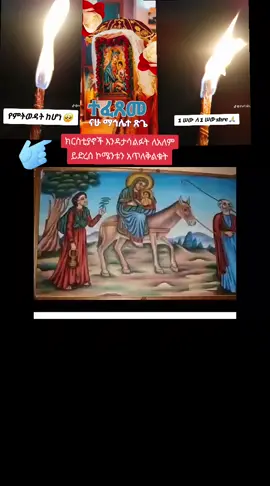 #creatorsearchinsights 