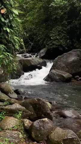 treknya bikin cape tapi sepanjang jalannya disuguhin view yg cakep polll🌾🌿🪵 #fyp #curugcidurian #curugbogor #curugviral #bogor 