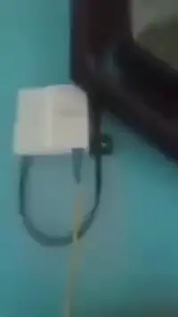 ganda ng pldt fiber wowww #thephilippinememeology #pambansangmemeology #urbanlegend #mythicalcentaurs #pinoylegends