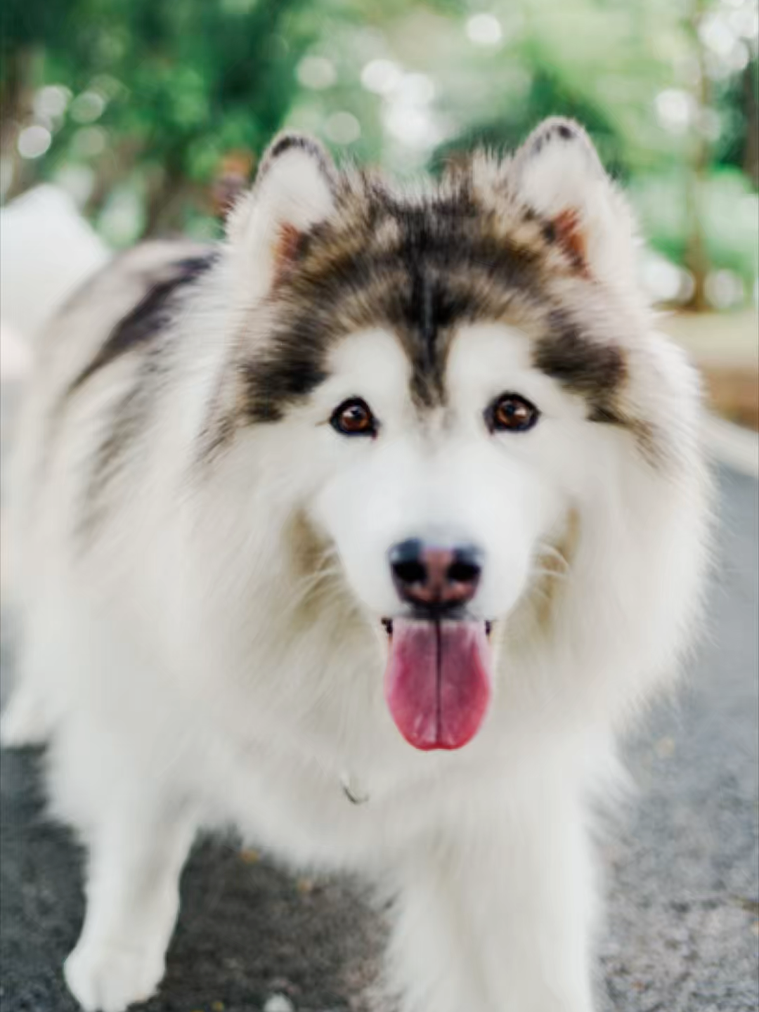 วันนี้เจอ 