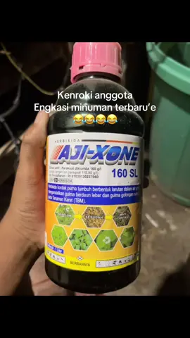 #fyp #katakata #katakatabugis 